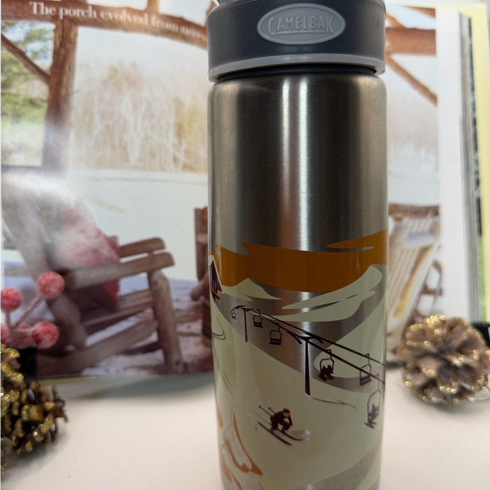 ā„ļøā„ļø Last Chanceā„ļøā„ļø CamelBak Silver Stainless Steel Water Bottle - Ski Graphic - Picture 6 of 13